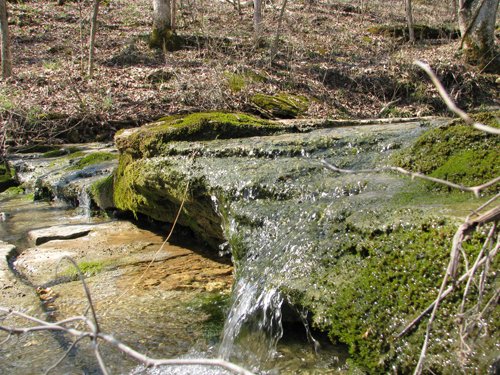 Property photo 34 - 137 Acres in 2 Tracts - 64 Tillable Acres, Potential Building Sites, Hunting